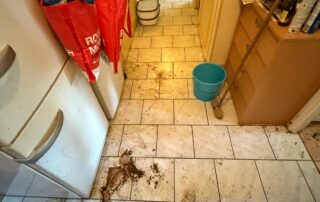 Logement insalubre