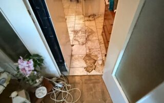 Logement insalubre